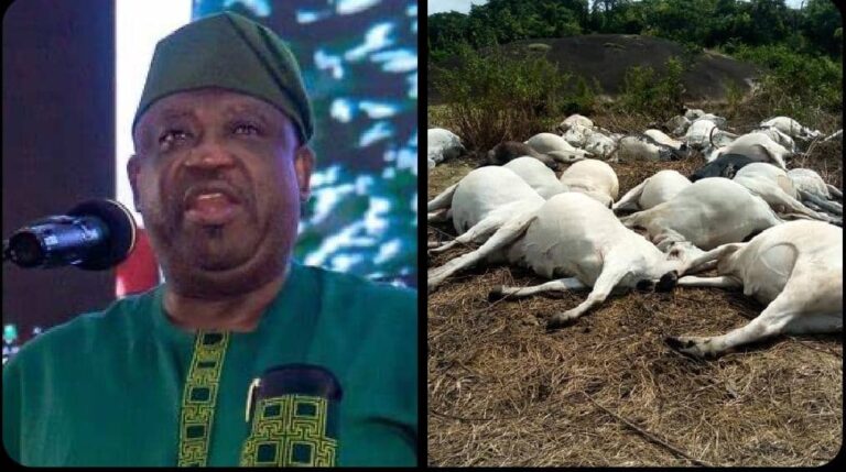 Govt Probes Alleged Poisoning Of 36 Cows In Plateau, Urges Calm