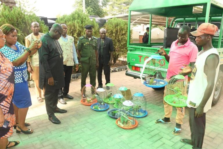 Three Arrested In FCT For Illegal Sale Of Exotic Birds, Others 