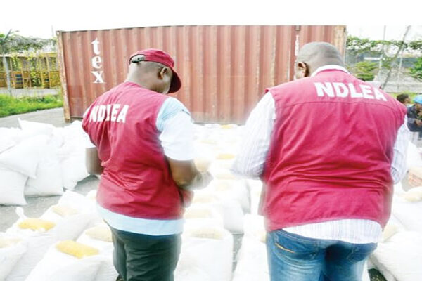 FLASH: NDLEA Intercepts 942 Explosives En Route To Zamfara