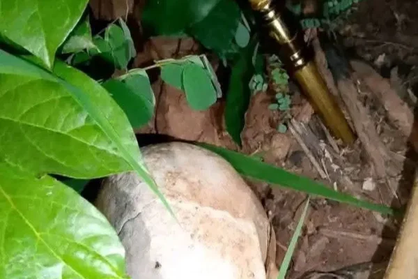 FLASH: Police Raid Church, Recover Human Skull, Ritual Items