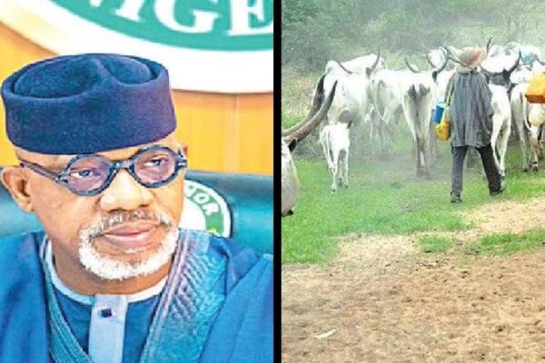 Open Grazing Offenders Risk Three-year Imprisonment, Forfeiture Of Cattle – Ogun Govt