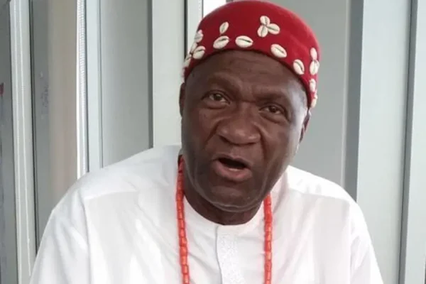 Nigeria May Break Up Before 2027, If… – Former Minister, Nwodo