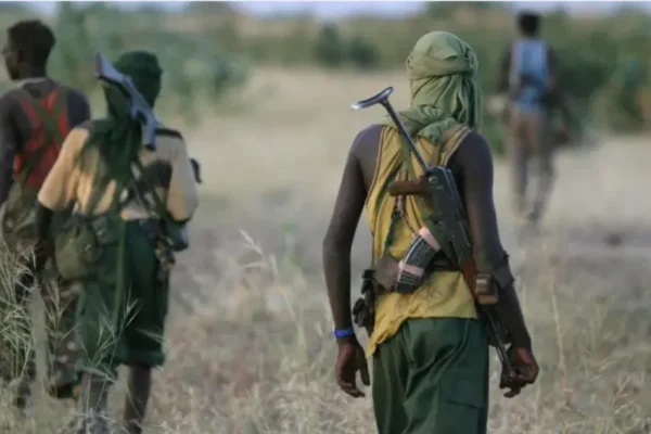 FLASH: Gunmen Ambush, Kill Two Mobile Police Officers In Zamfara