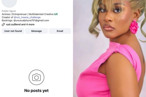 BBNaija Star Phyna Loses 1.3 Million Follower Instagram Account