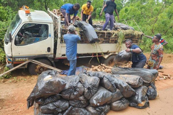 Police Intercept 127 Bags Of Cannabis Concealed Under Yam Tubers In Kwara