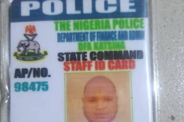 Police Arrest Man With Firearm, Fake Police ID, Extra Number Plate