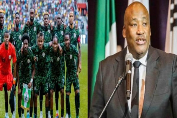 Why I Don’t Want Nigeria To Qualify For 2026 World Cup – South Africa Sports Minister
