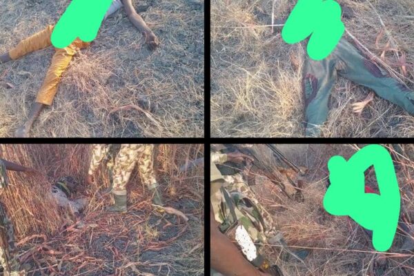 Troops Neutralise 10 Terrorists, Recover Weapons, Equipment In Borno