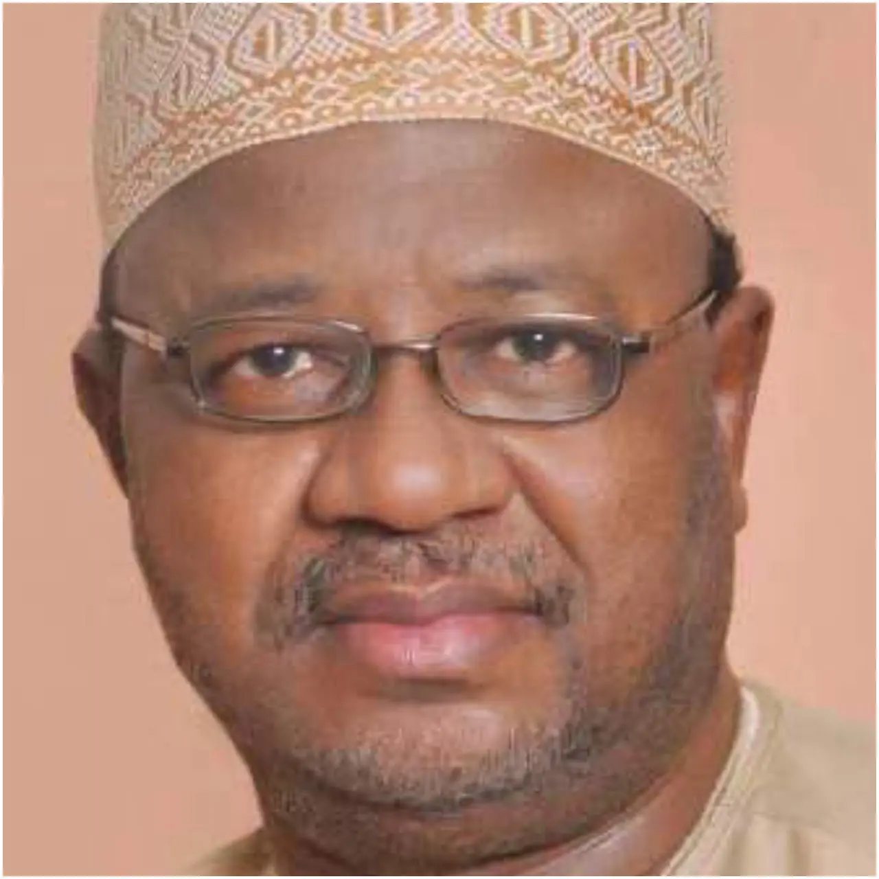 ‘I, Not Amaechi Brought Idea To Form APC’ – Umar Ardo
